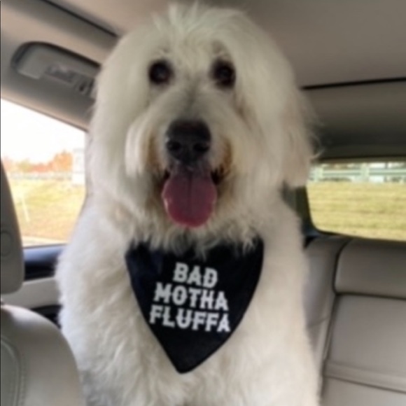 ✨🌟✨I’m now a Posh Ambassador!! ✨🌟✨ - Picture 5 of 8